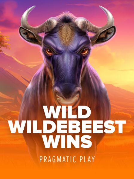 Unlock Big Rewards at SpinCity Online Casino